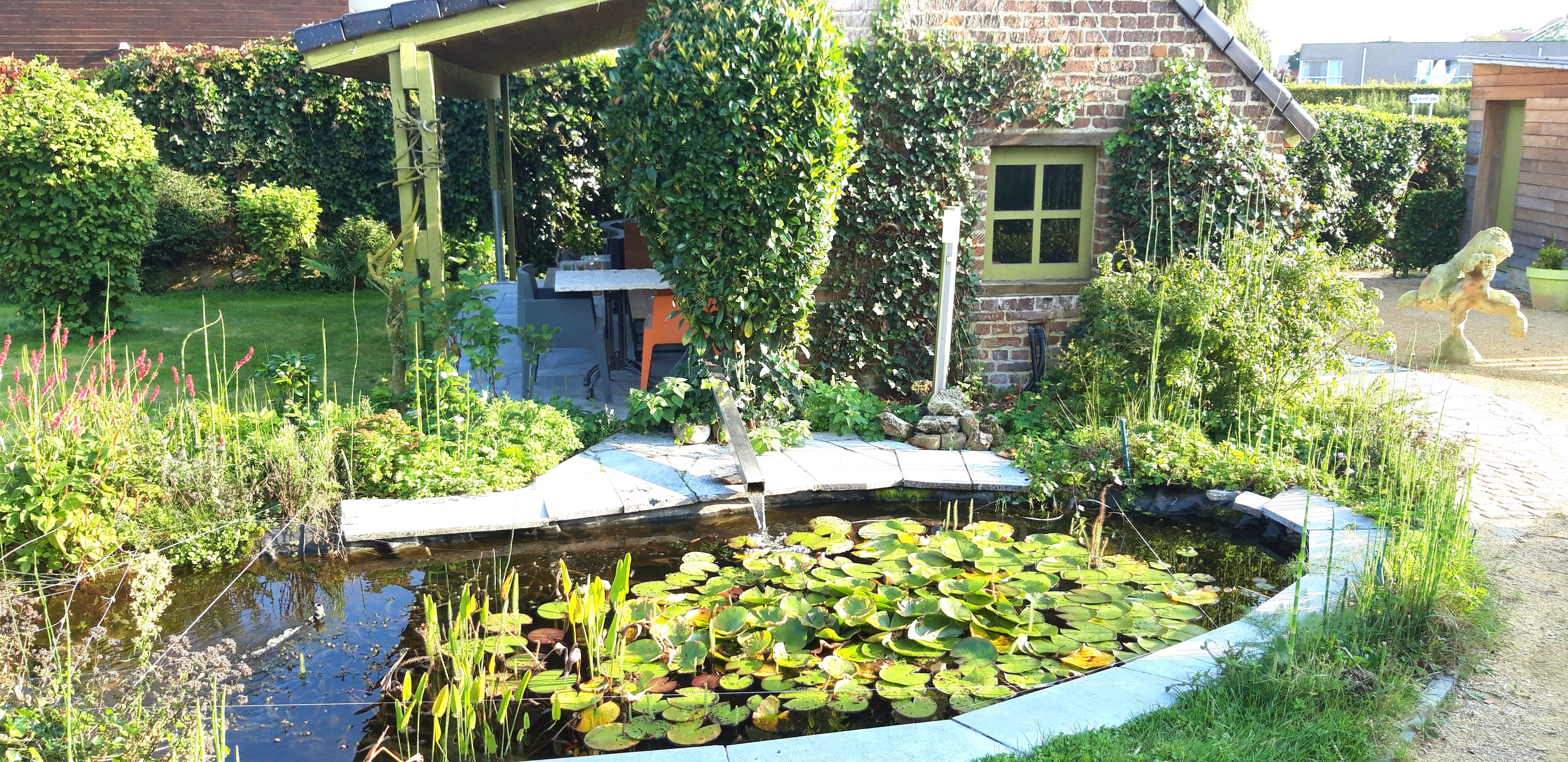 tuin