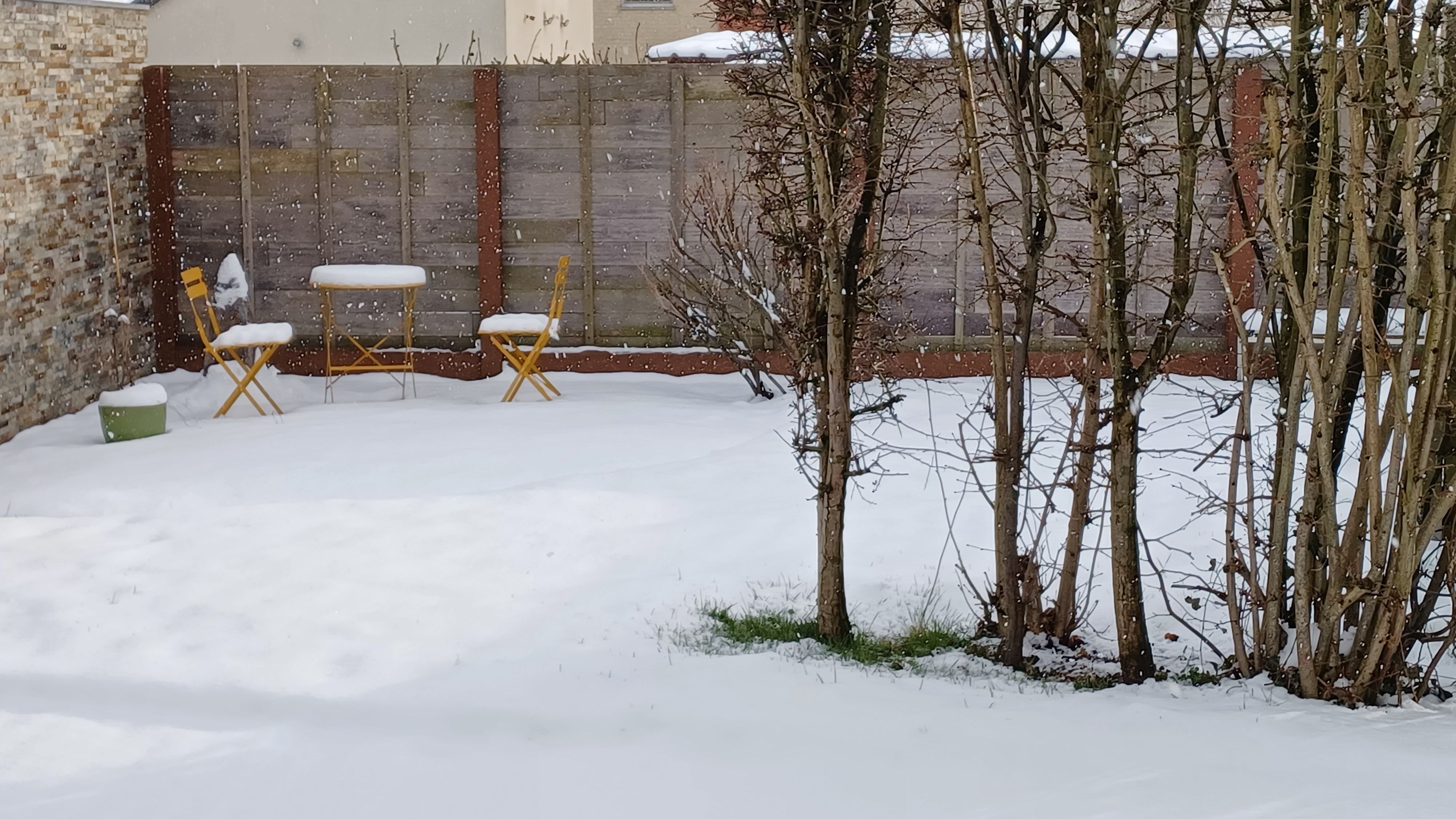 tuin